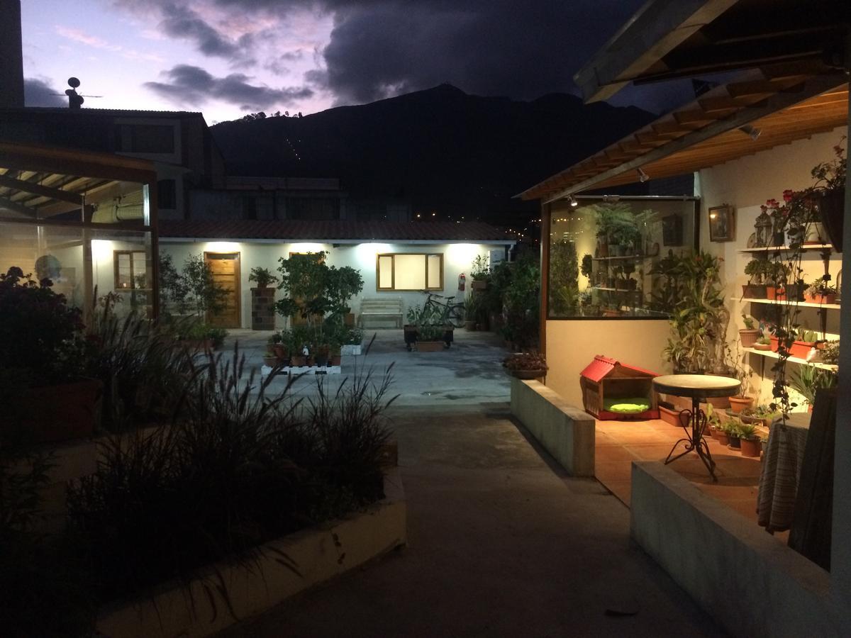 بيت شباب Quito Terrace المظهر الخارجي الصورة