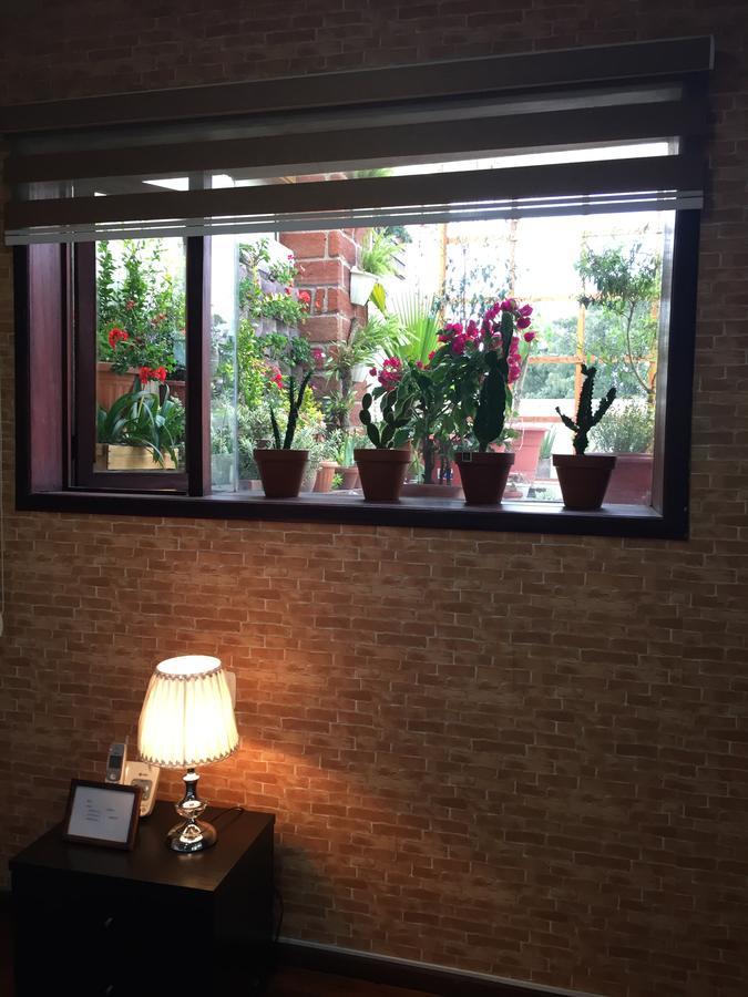 بيت شباب Quito Terrace المظهر الخارجي الصورة