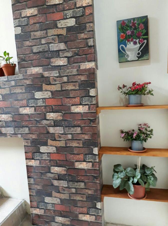 بيت شباب Quito Terrace المظهر الخارجي الصورة
